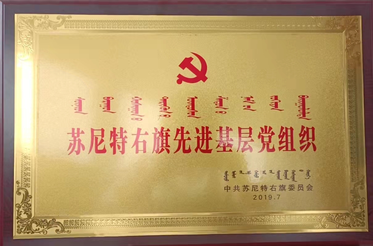 先進基層黨組織